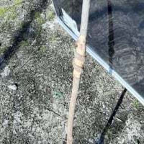 Glass tip handmade walking stick - Picture 3 of 7